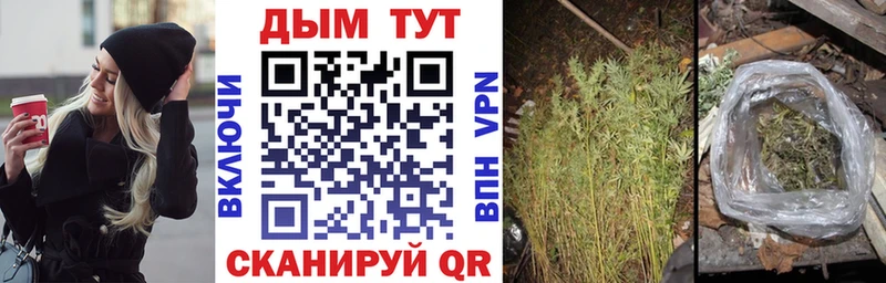 Шишки марихуана AK-47 Динская